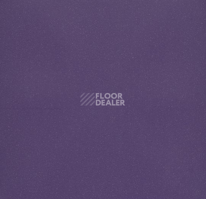 Линолеум Forbo Eternal Colour 40182 grape фото 1 | FLOORDEALER